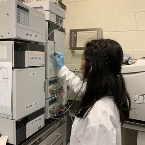 Fundraising Page: Wafa Nomani